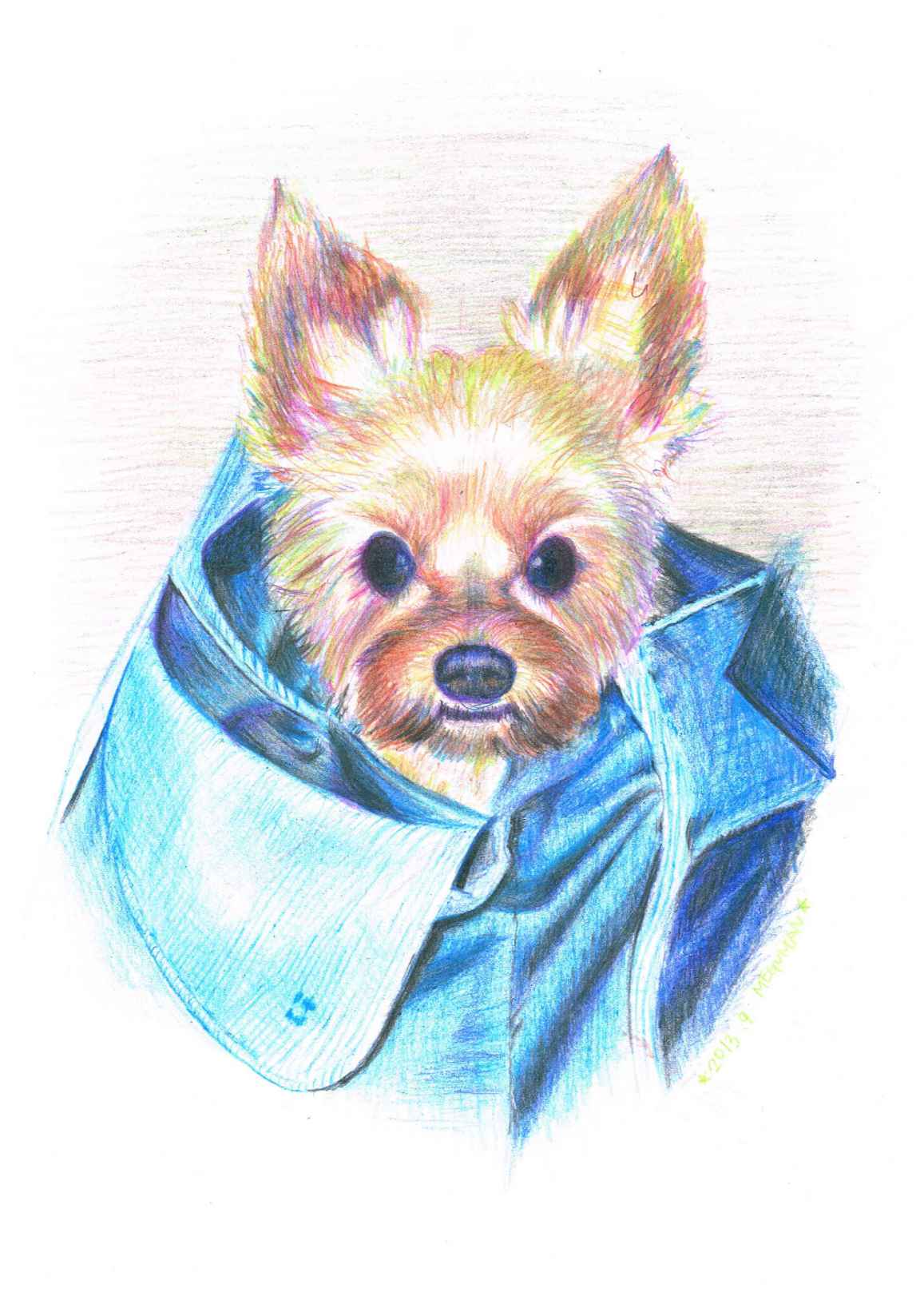 dog